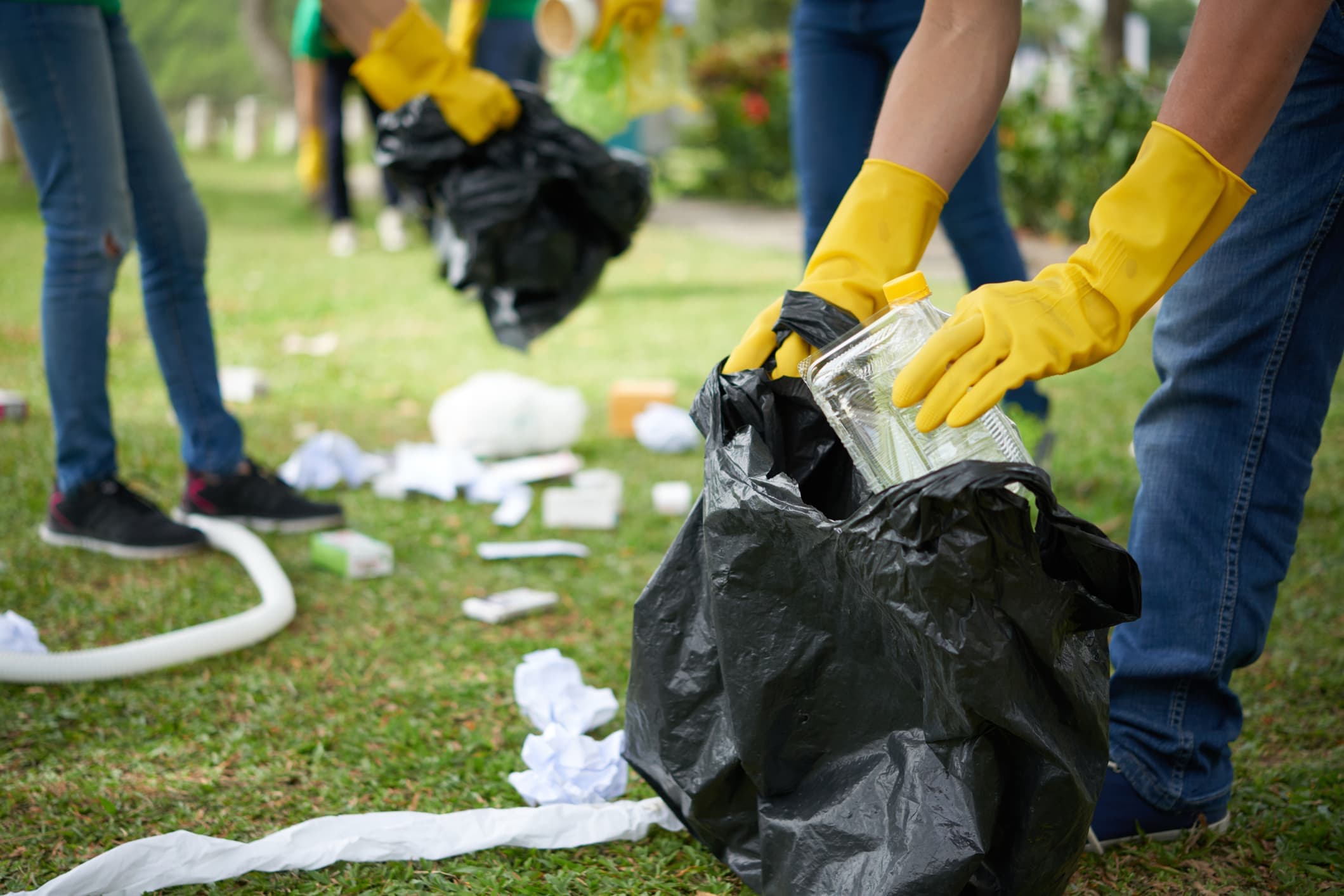 Waste Removal
